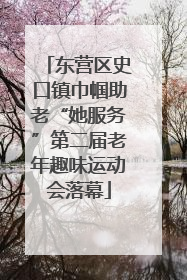 东营区史口镇巾帼助老“她服务”第二届老年趣味运动会落幕